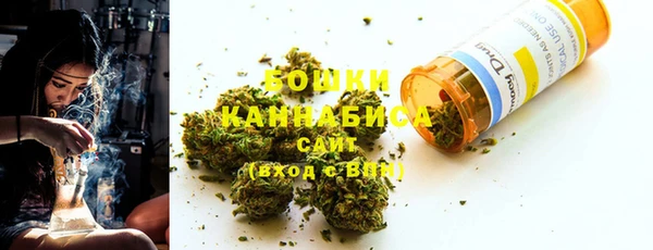 амф Бородино
