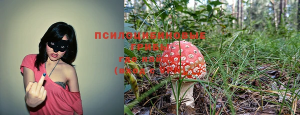 молекула духа Бугульма