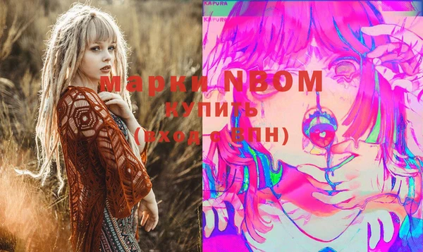 амф Бородино